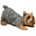 Sandicast "Small Size" Crouching Yorkshire Terrier Dog Sculpture   568935510